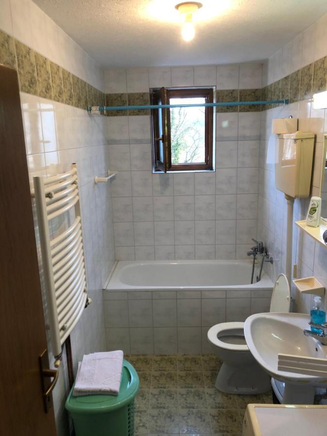 Apartman Djina Vrnjačka Banja Екстериор снимка